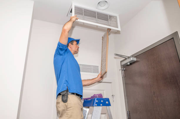 Best Air Duct Cleaning Near Me  in Arbury Hls, IL